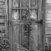 Weathered Wood Barn Door With Vine Poster