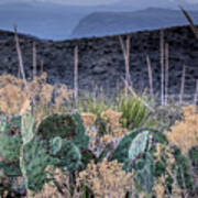 West Texas Grandeur Poster