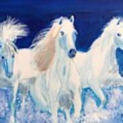 White Horses On Beach Poster