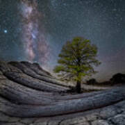 White Pocket Milky Way Tree Poster