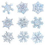 White Snowflake Collage - 2021-11-08 Poster
