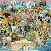 Wild And Wonderful Animals Of The World Poster