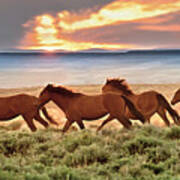 Wild Horses At Dusk Poster
