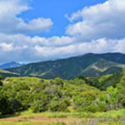 Wildwood Canyon State Park Poster