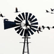 Windmills And Sandhill Cranes Poster
