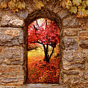 Window To Autumn Poster