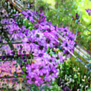 Windowpanes And Wildflowers Poster