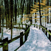 Winter Boardwalk Path In A Park In Maryland Poster