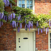 Wisteria On Bledington Mill House Poster