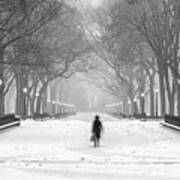 Women In Central Park And Snow Poster