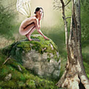 Woodland Fairy Poster
