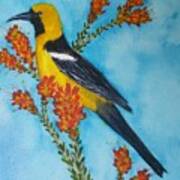 Yellow Oriole Poster