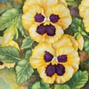 Yellow Pansies, Colorful Smile Poster