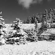 Yellowstone Winter Poster