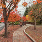 Yountville In Autumn Poster