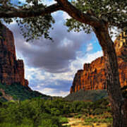 Zion Canyon Virgin River Majestic Tree Poster