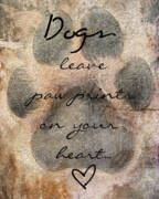 tæppe Træ folder Dogs leave paw prints on your heart Photograph by Brook Burling
