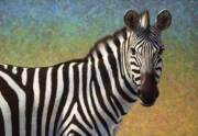 Portrait Of A Zebra Art Print