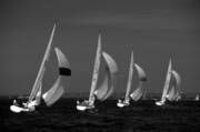 Spinnaker Run #1 Art Print