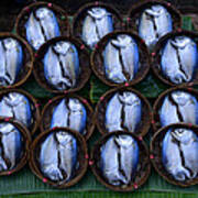 Bangkok Fish Baskets Art Print