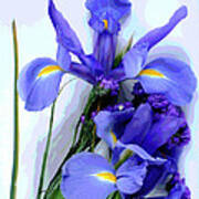 Iris -- Pretty In Purple-1 Art Print