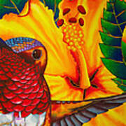Rufous Hummingbird - Exotic Bird Art Print