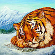 Tiger Sleeping In Snow Art Print
