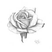 A Roses Beauty #2 Art Print