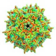 Adeno-associated Virus #1 Art Print