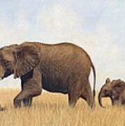 African Elephants #2 Art Print