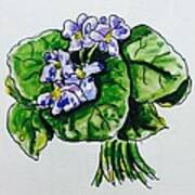 African Violet #2 Art Print