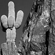 Arizona Sagauro Cactus #1 Art Print