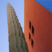 Cactus Against Colorful Walls #1 Art Print