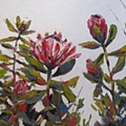 Cape Floral Kingdom 1 Art Print