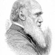 Charles Darwin #1 Art Print