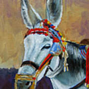 Decorated Donkey #1 Art Print