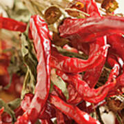 Dried Chili Peppers #1 Art Print