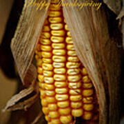 Dry Corn Husk #1 Art Print