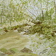 Enchanted Stream - Watercolor Sketch #1 Art Print