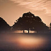 Fog Glowing In Bright Rays Of Sunrise In Landscape #1 Art Print