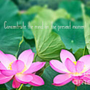 Gorgeous Pair Pink Lotus Couple Blossoms Green Leaves #1 Art Print