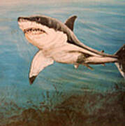 Great White Shark #2 Art Print