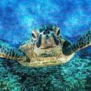 Green Turtle #5 Art Print