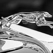 Greyhound Hood Ornament #1 Art Print