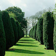 Hedge In A Formal Garden, Hinton Ampner #1 Art Print