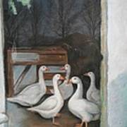 Irish Ducks Pastel #1 Art Print