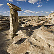 Mushroom Hoodoo Bisti Wilderness #1 Art Print