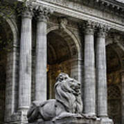 Ny Library Lion #2 Art Print