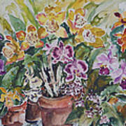 Orchids I #2 Art Print