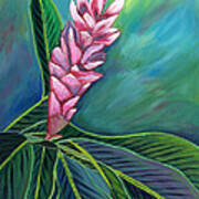 Pink Ginger Lily #1 Art Print